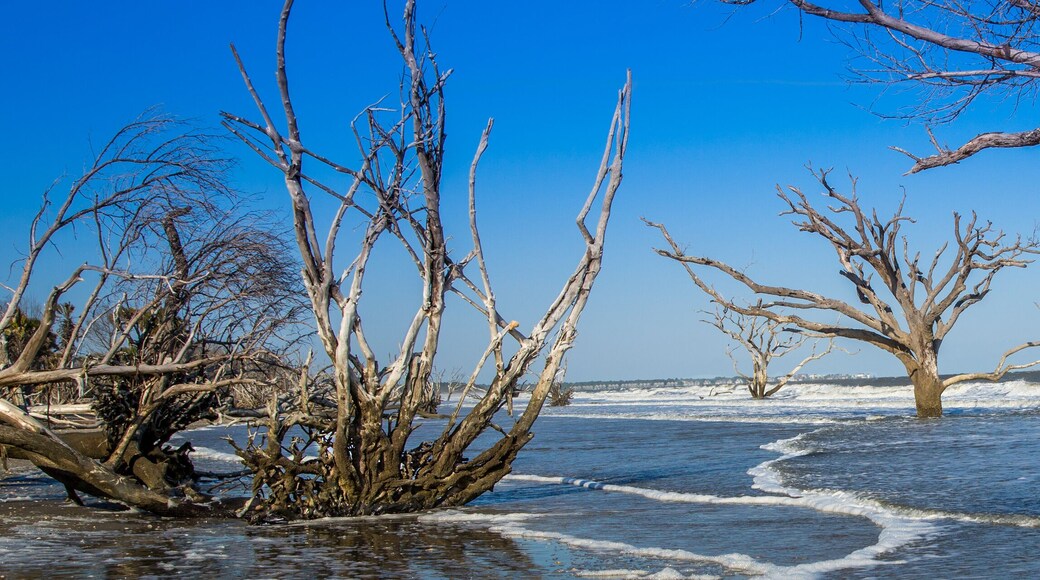 Edisto Island beach