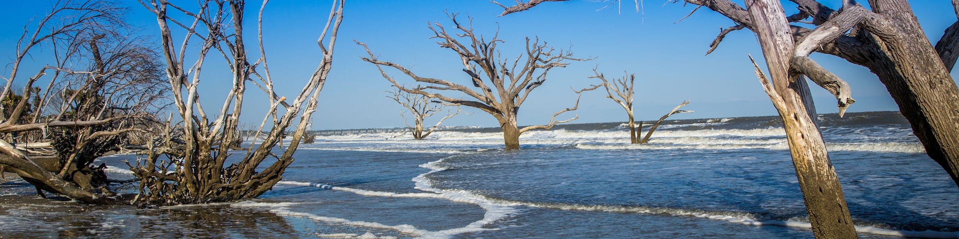 Edisto Island beach