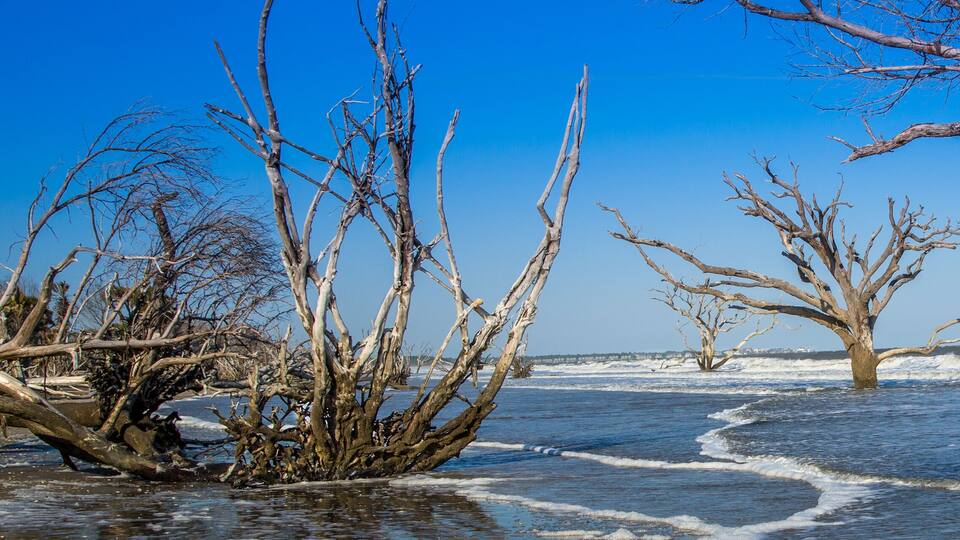 Edisto Island beach
