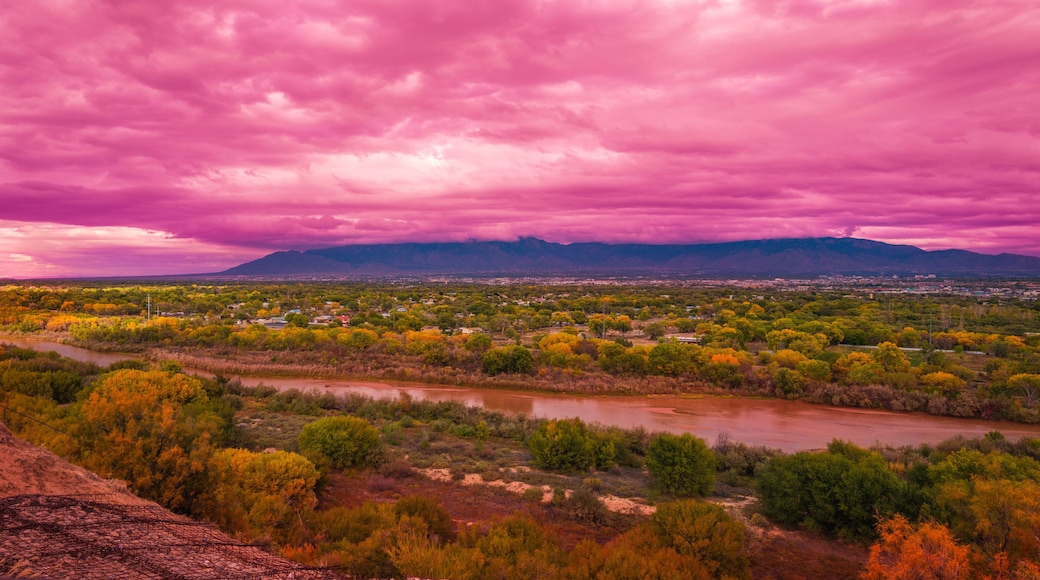 Stormy pink sunset cloudscape over Albuquerque skyline, autumn landscape with colorful cottonwood trees over Rio Grande River, New Mexico, USA