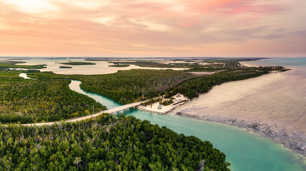 ํด๋จธ ํฌ์ธํธ