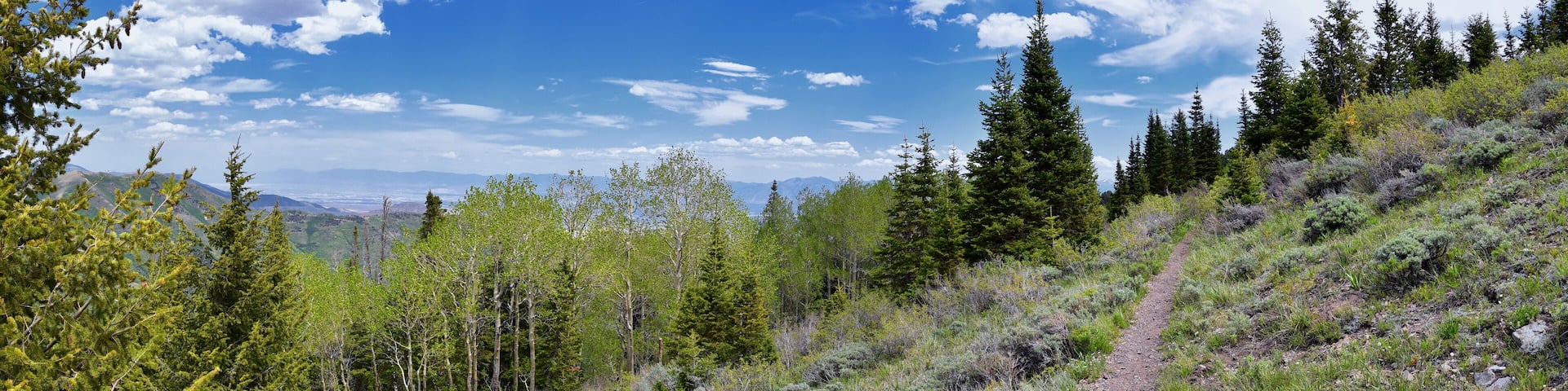Rocky Mountain Wasatch Front peaks, panorama landscape view from Butterfield Canyon Oquirrh range toward Provo, Tooele Utah Lake by Rio Tinto Bingham Copper Mine, Great Salt Lake Valley in spring. Uta