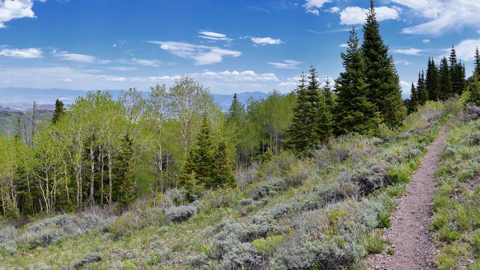 Rocky Mountain Wasatch Front peaks, panorama landscape view from Butterfield Canyon Oquirrh range toward Provo, Tooele Utah Lake by Rio Tinto Bingham Copper Mine, Great Salt Lake Valley in spring. Uta
