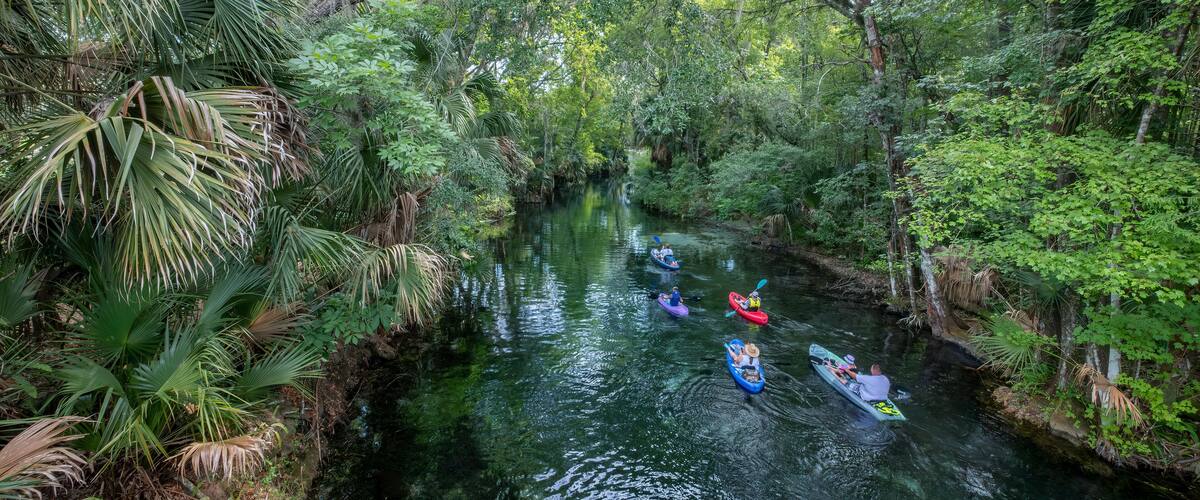 Kayakers on the Silver River at Silver Springs State Park, Florida