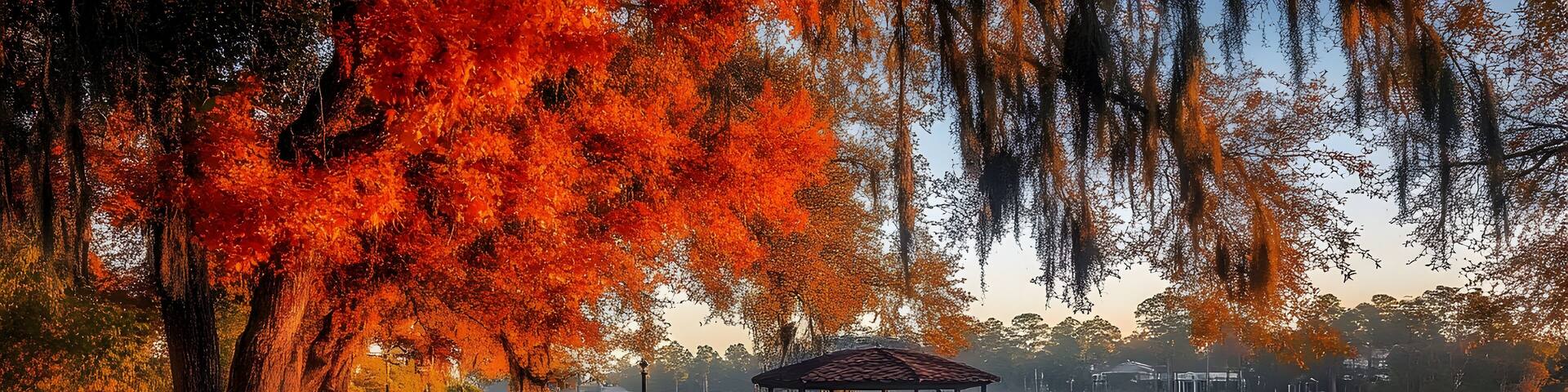 Beautiful morning on Lale Tohopekaliga in Kissimmee, Florida during fall, Florida, Kissimmee, lake, autumn