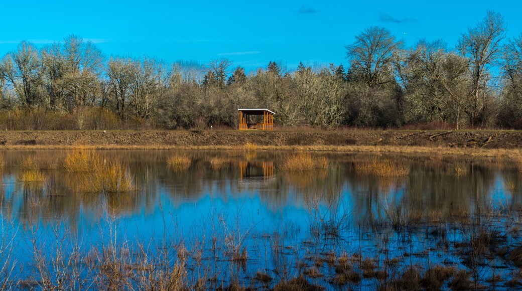 Jackson Bottom Wetlands Preserve, Hillsboro, Oregon
