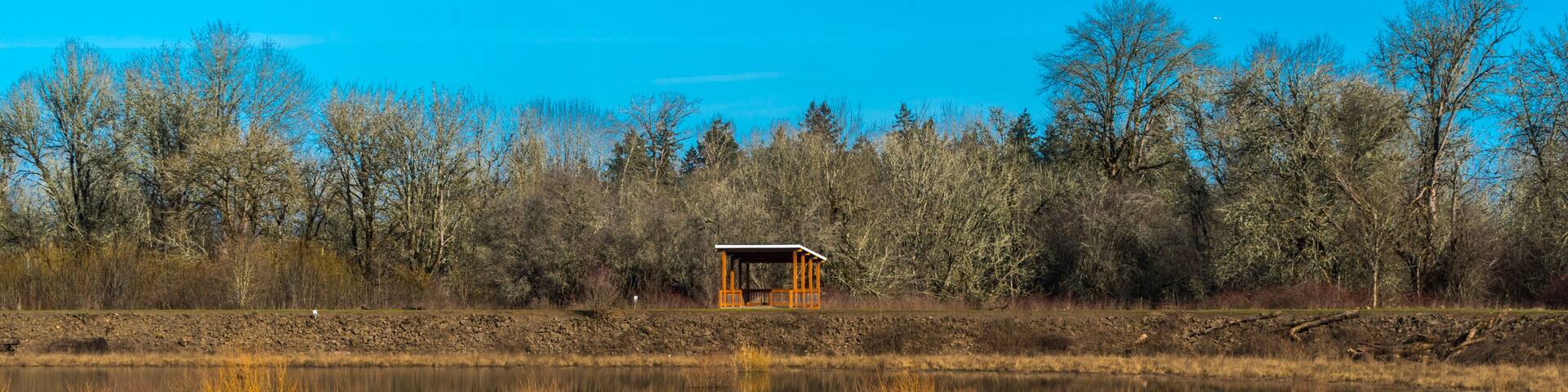 Jackson Bottom Wetlands Preserve, Hillsboro, Oregon