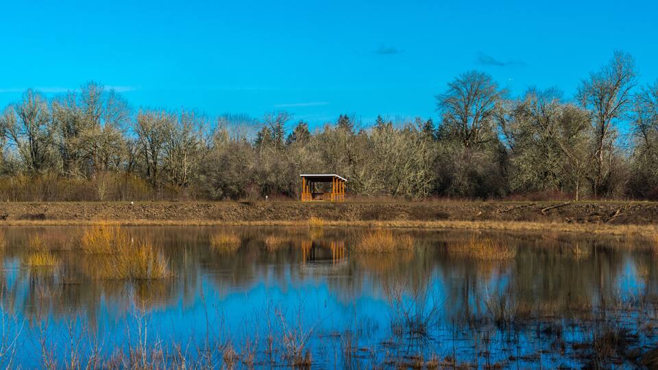 Jackson Bottom Wetlands Preserve, Hillsboro, Oregon