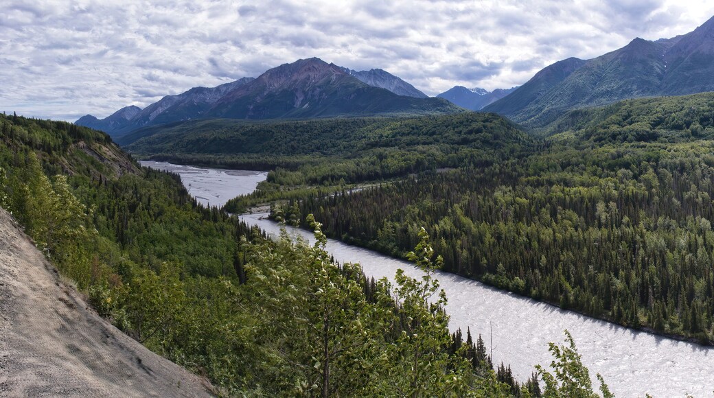 Matanuska River with mountains in the distance on a cloudy summer day in the Matanuska-Susitna Valley in Alaska.