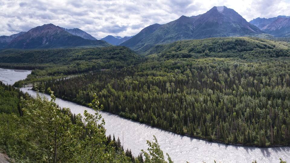 A river winding through a dense forest with mountains in the background.