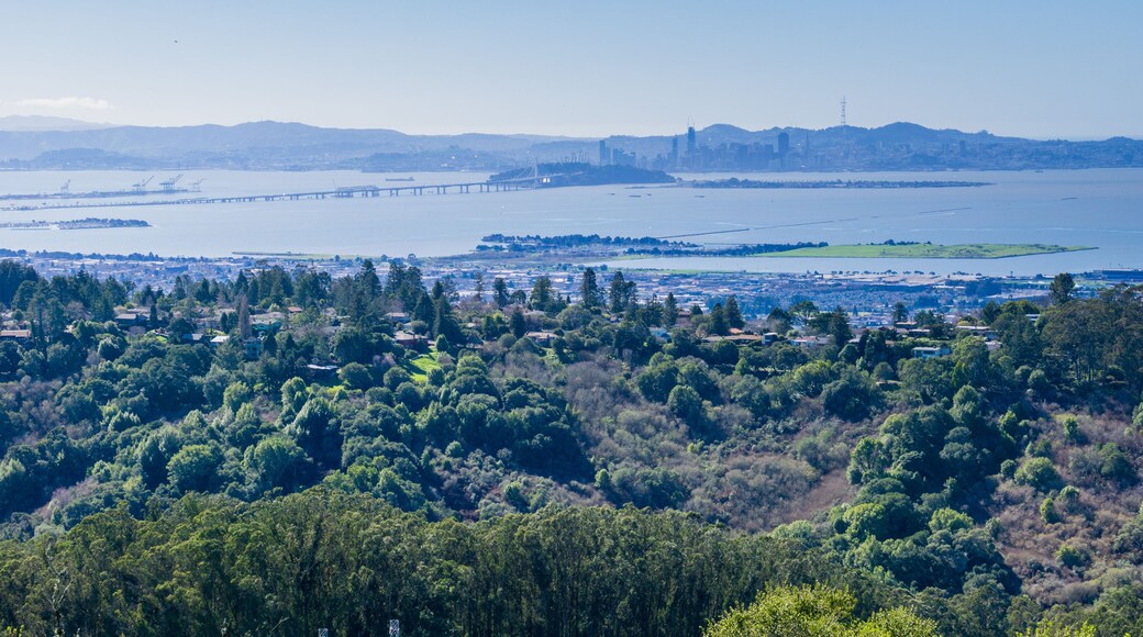 ๋ฆฌ์น๋ชฌ๋ ์ด๋ฅ์ค