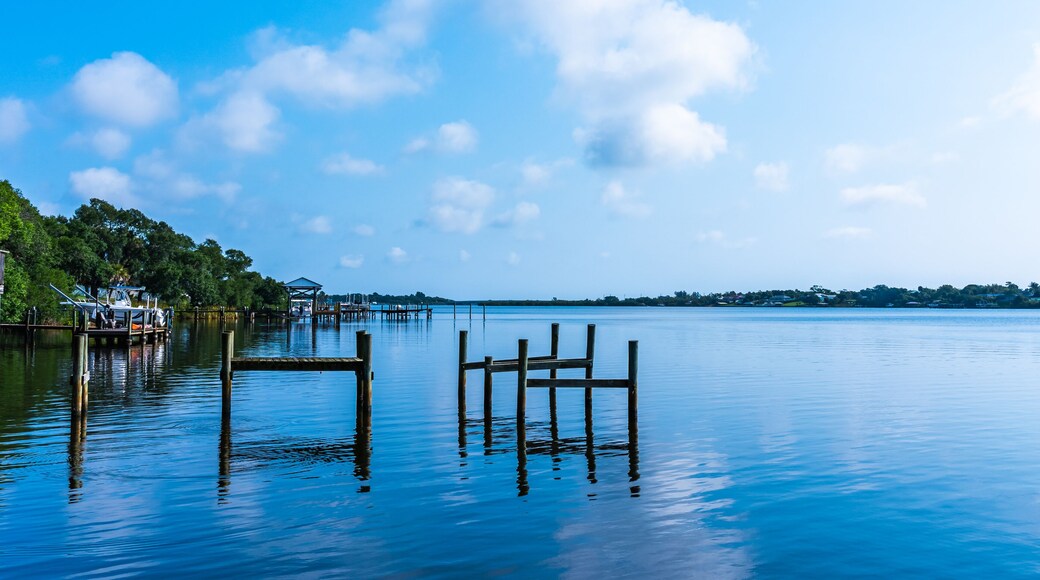 ๋ฆฌํ ํ ๋ฆฌ์ฐ๋