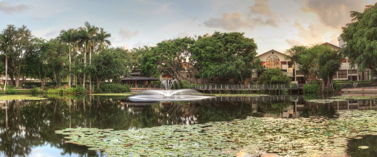 Overlooking a pond at sunset at the Garden of Hope and Courage