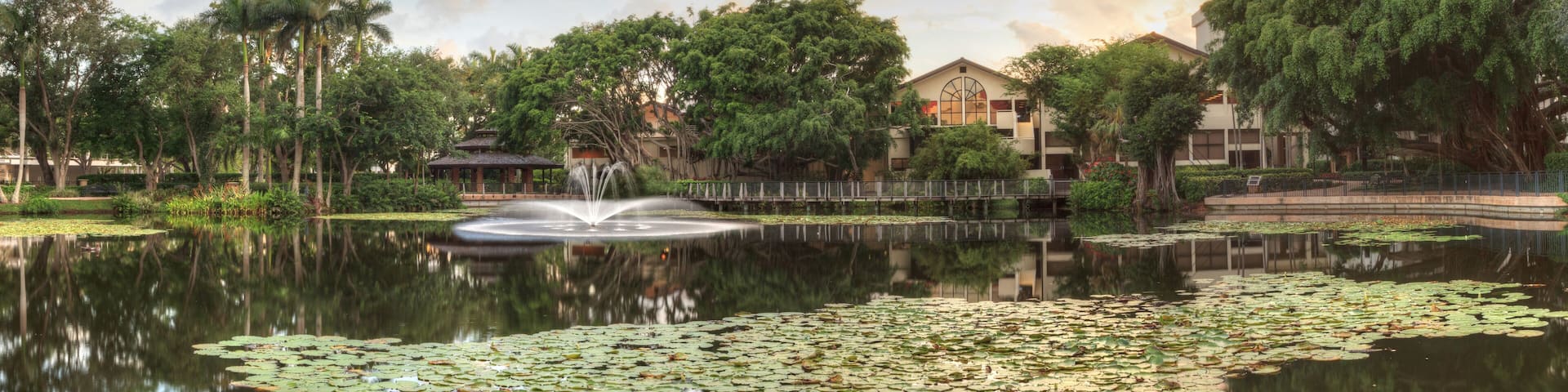 Overlooking a pond at sunset at the Garden of Hope and Courage