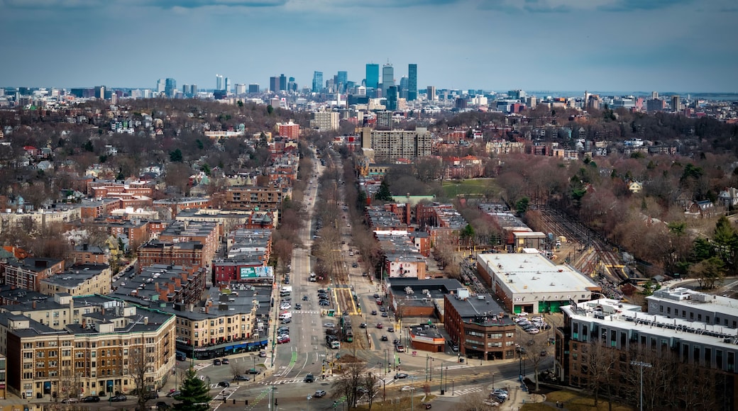 Aerial view of modern city skyline with residential area and downtown, Brighton, Massachusetts, United States.
