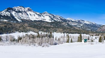 ริเวอร์ส เอดจ์