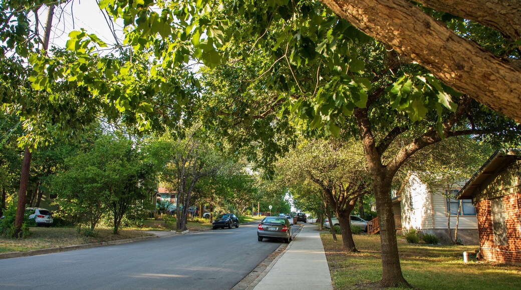 Cherrywood showing a small town or village and a house