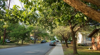 Cherrywood showing a small town or village and a house