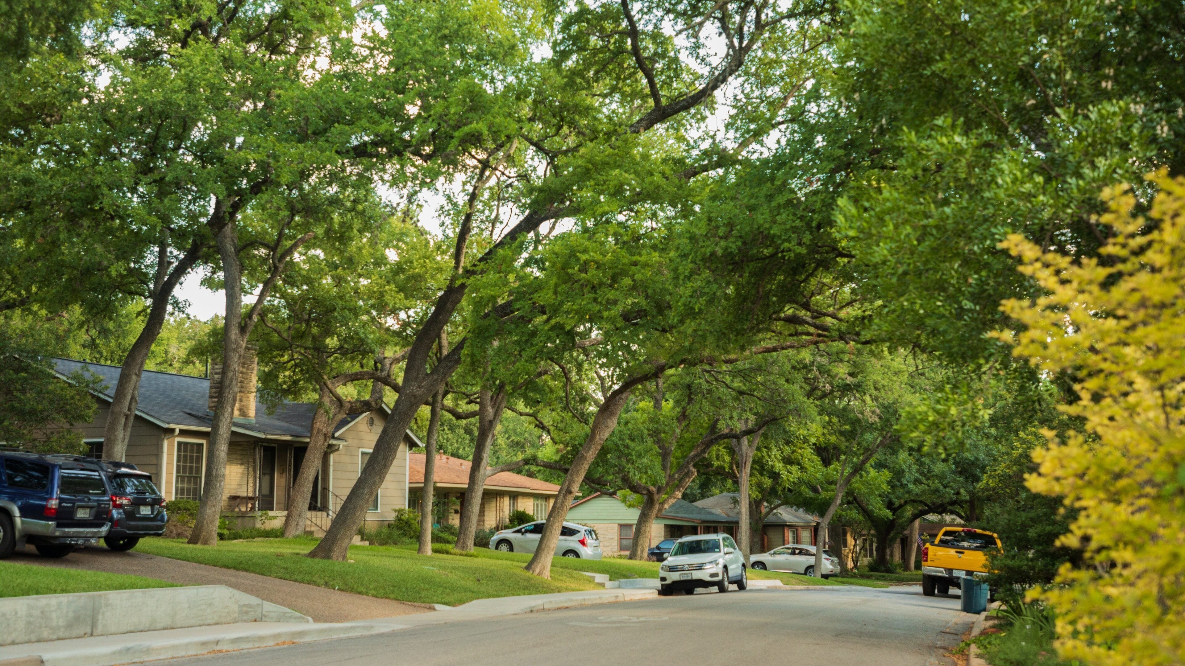 Cherrywood showing a house and a small town or village