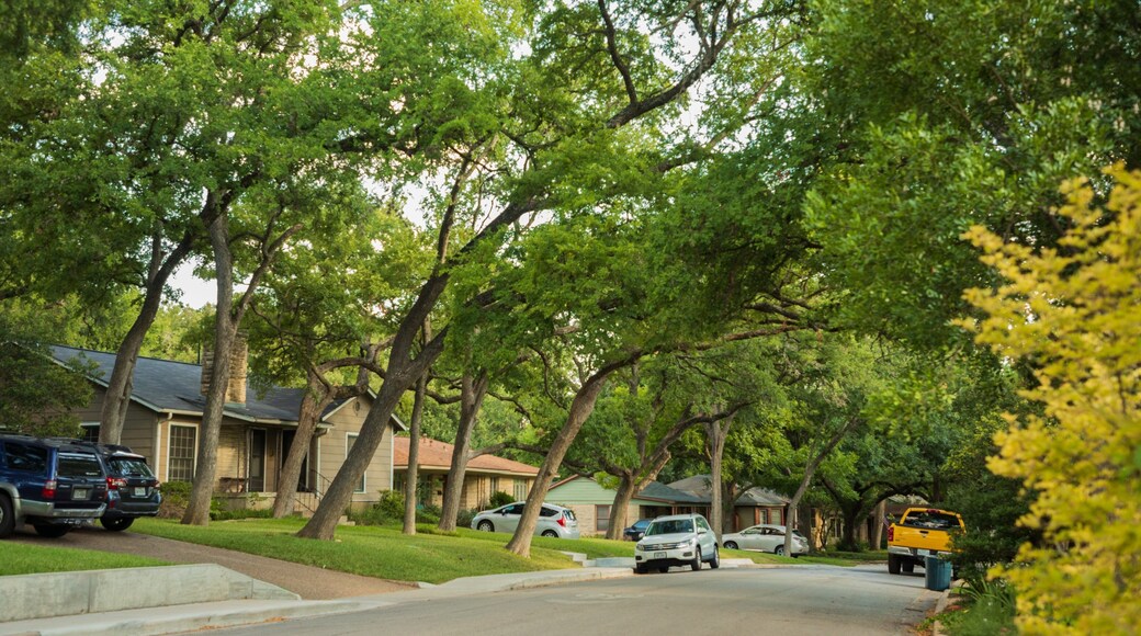 Cherrywood showing a house and a small town or village