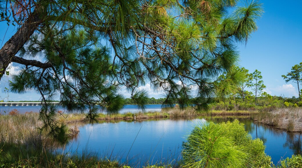 Phillips Inlet Bridge over the Powell Lake, Panama City Beach. It is on the Bay County and Walton County line, connecting 30A Scenic Highway and the coastal city. Overlooks to Gulf of Mexico