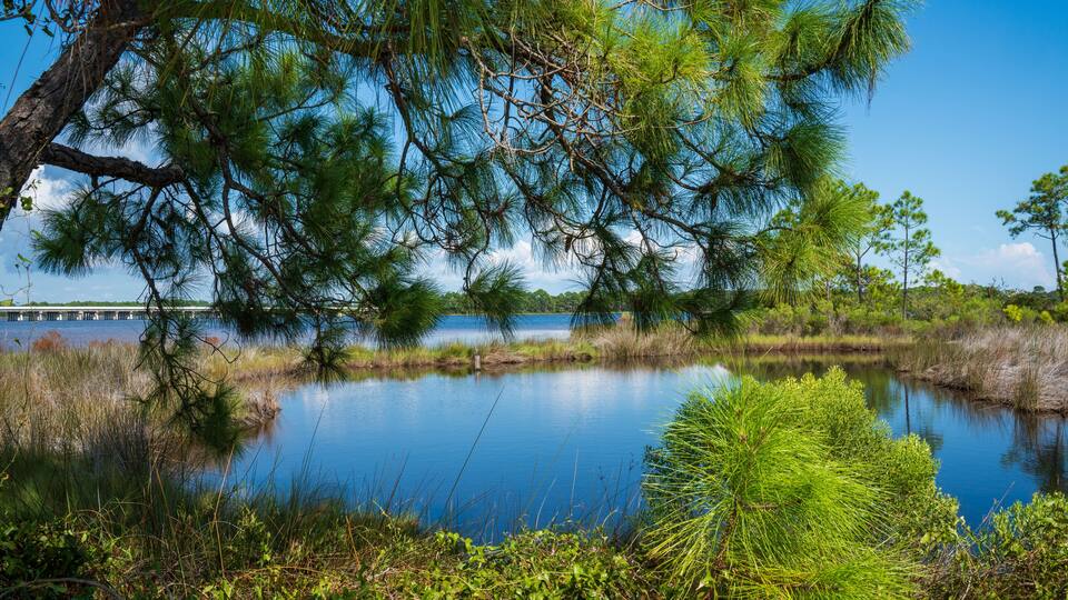 Phillips Inlet Bridge over the Powell Lake, Panama City Beach. It is on the Bay County and Walton County line, connecting 30A Scenic Highway and the coastal city. Overlooks to Gulf of Mexico