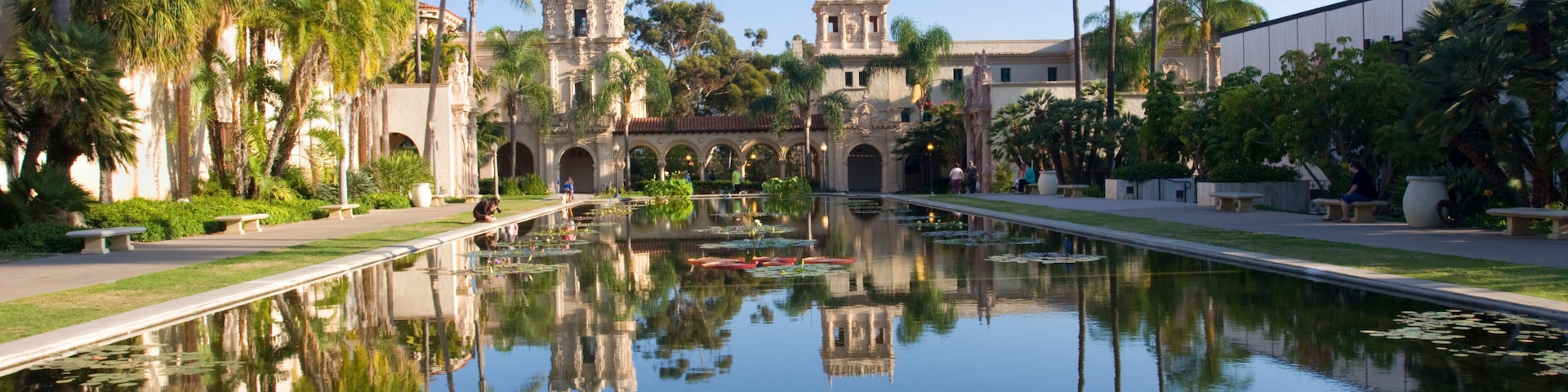Balboa Park, palms trees, San Diego, USA