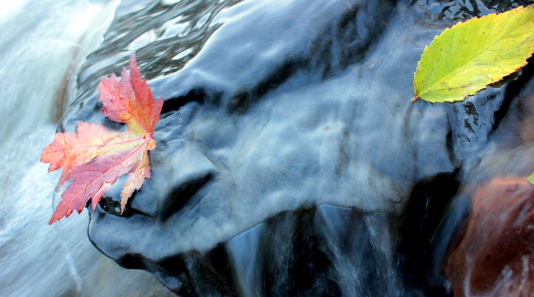 Finding fall colors in Tischer Creek.
#Advenrure