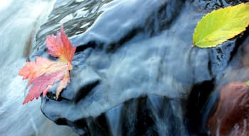 Finding fall colors in Tischer Creek.
#Advenrure