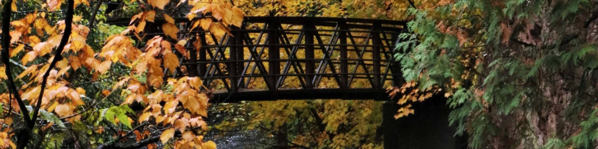 Fall down the floor of Tischer Creek. #Adventure