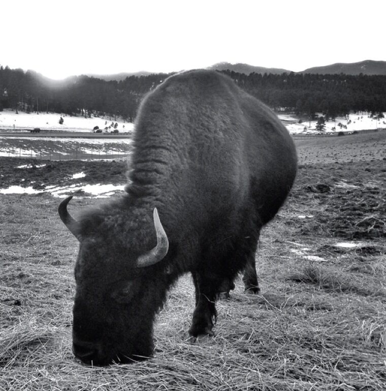 The title says it all. I mean, seriously, why would you not want to go check this place out? It's free!