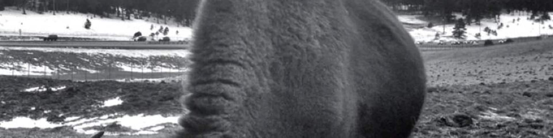 The title says it all. I mean, seriously, why would you not want to go check this place out? It's free!