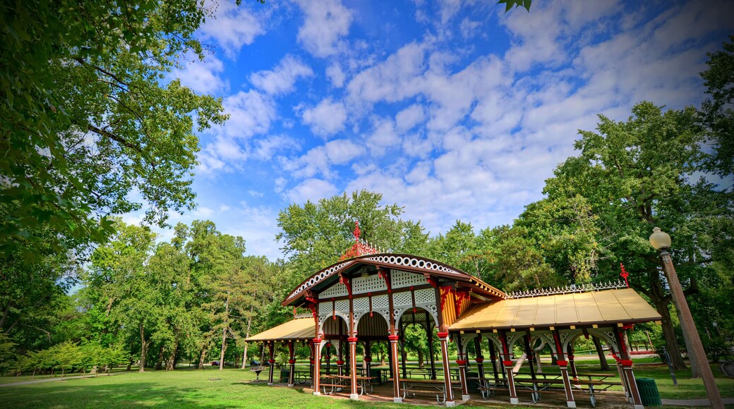 Tower Grove East