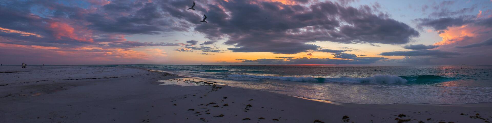 A beach with waves, a sunset, and birds flying.