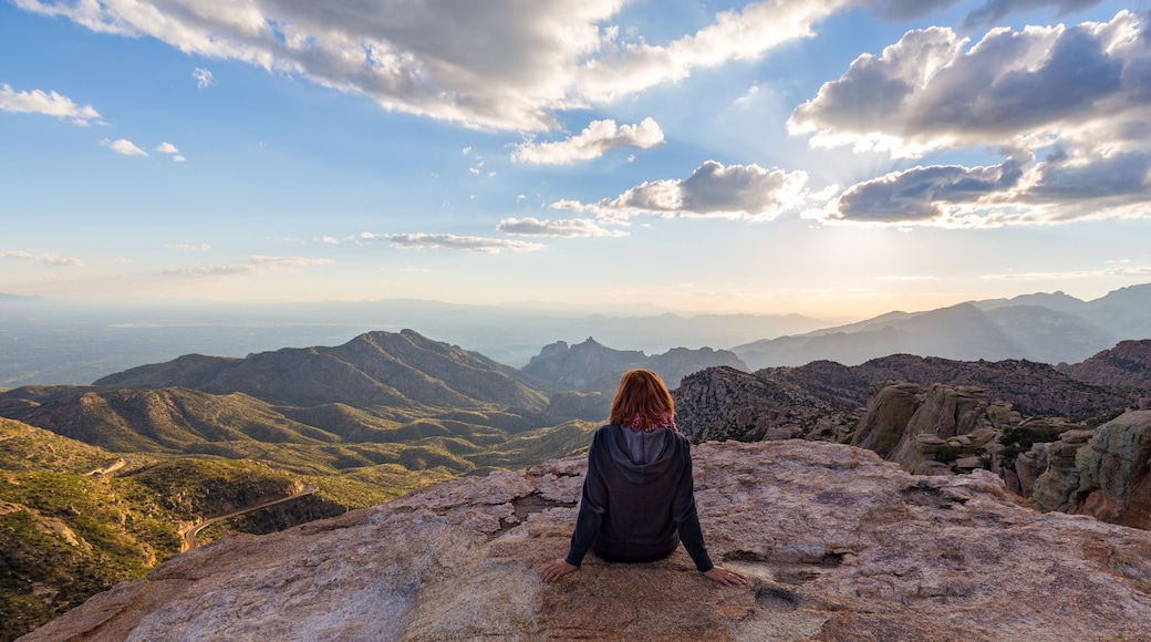 A woman staring down from the top of Mount Lemmon in Arizona while the sun starts to set.
