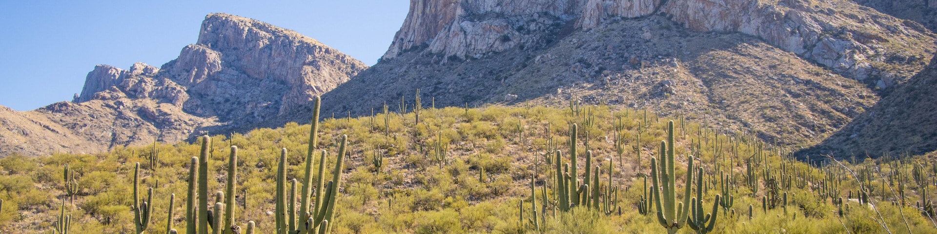 View of Oro Valley, Arizona's Pusch Ridge Peak, near Tucson, part of Santa Catalina Mountain Range