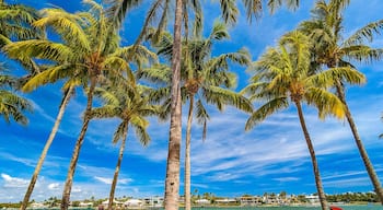 DuBois Park, Jupiter Beach and inlet, areal views, Florida