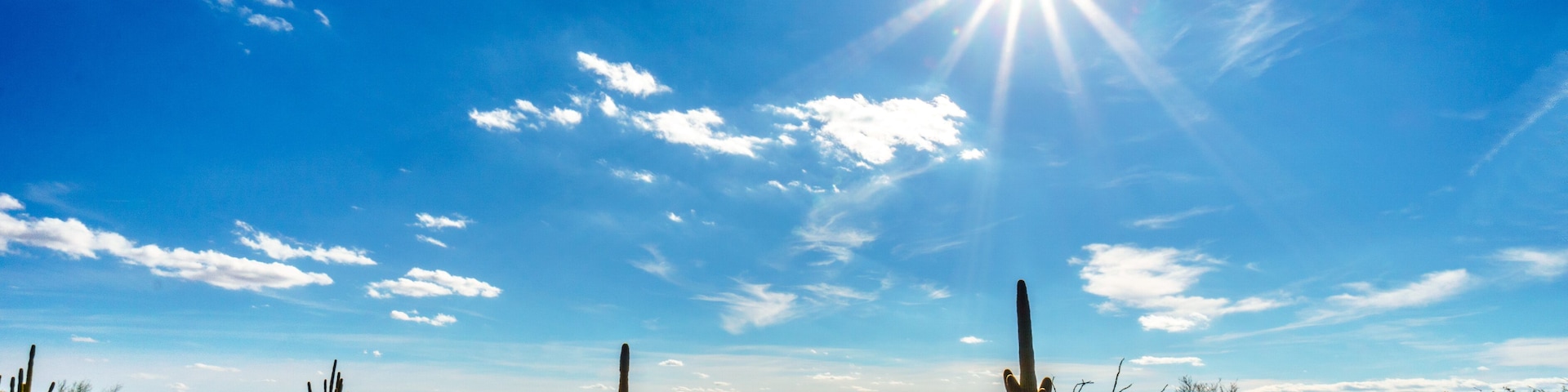 A desert landscape with cacti and mountains in the distance under a clear blue sky.