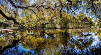Water surface reflections of rich landscape features and blue sky