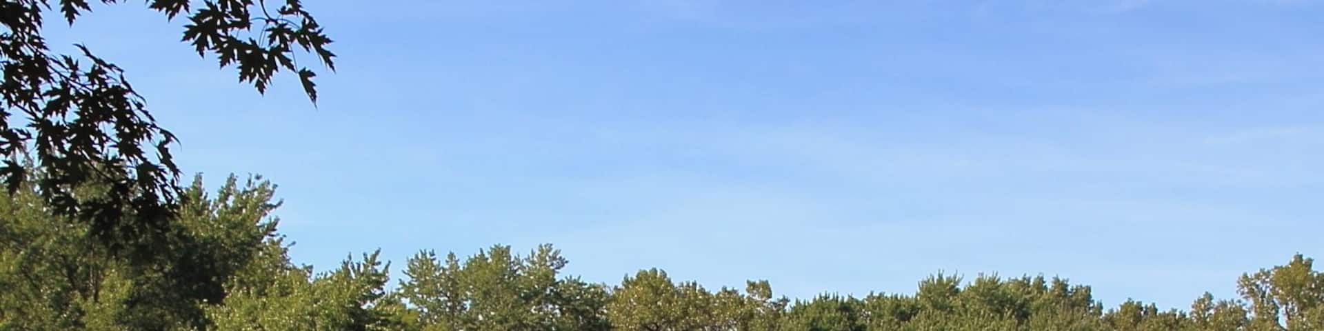 Easy Access to another great fall color shot or an ideal location for a family photo. It is an easy walk from the visitor's center parking lot.