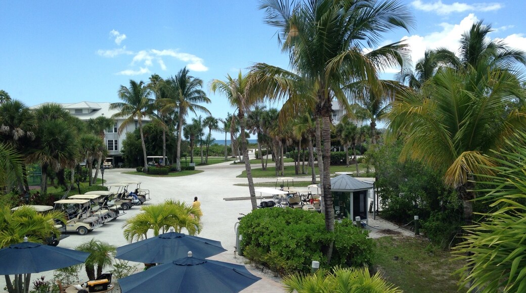 Had a nice boat ride south of Venice to the Rum Bay Restaurant with our good friends John and Marie.
Great food and good laughs.