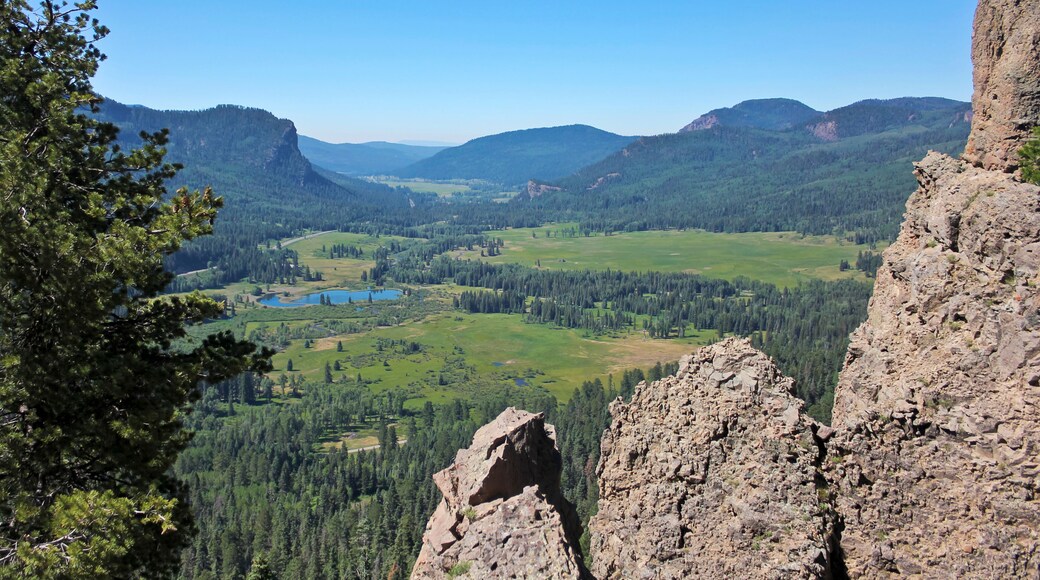 พอนเดโรซา ไพน์ส