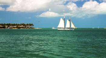 คอรัล ลากูน