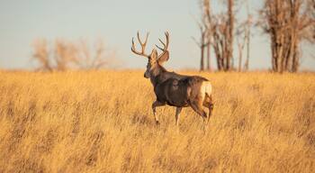 ์์ฑํด ํ์ฆ