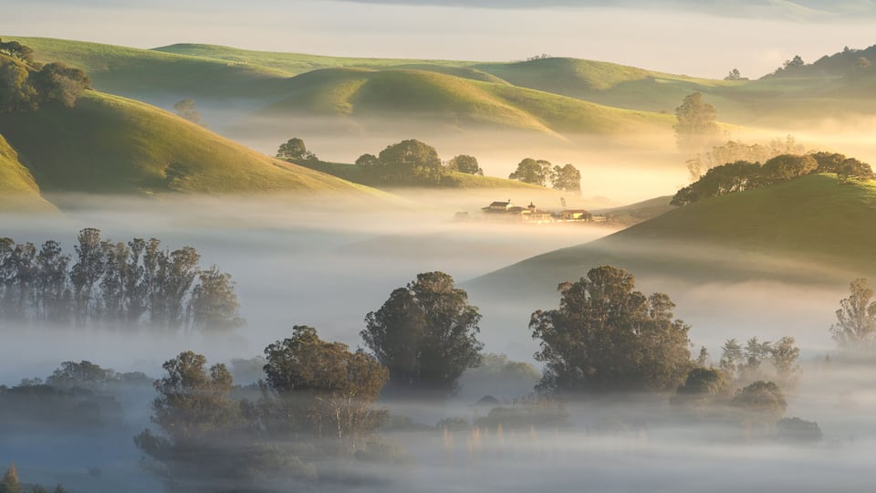 Rolling hills, trees, and a misty landscape.