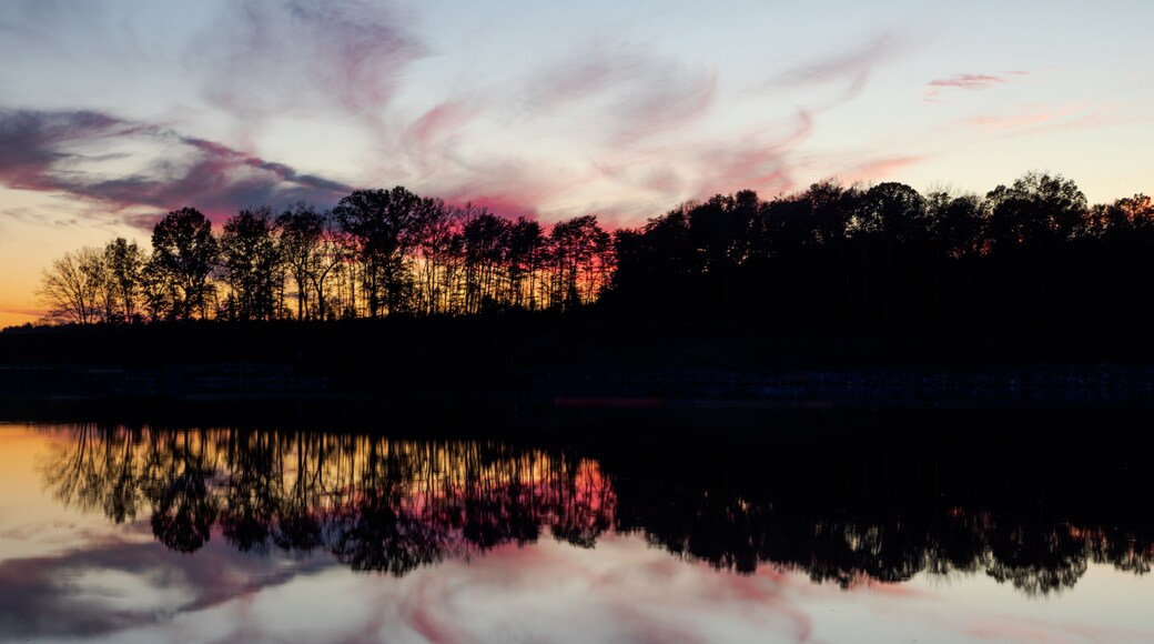 เลค จีเนตต์