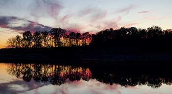 เลค จีเนตต์