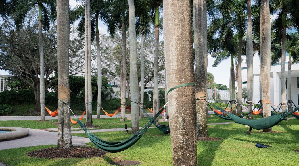Hammock park in Coral Gables, Florida