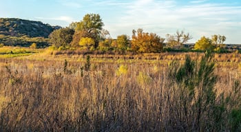 โอเวอร์ เพลส แอเรีย