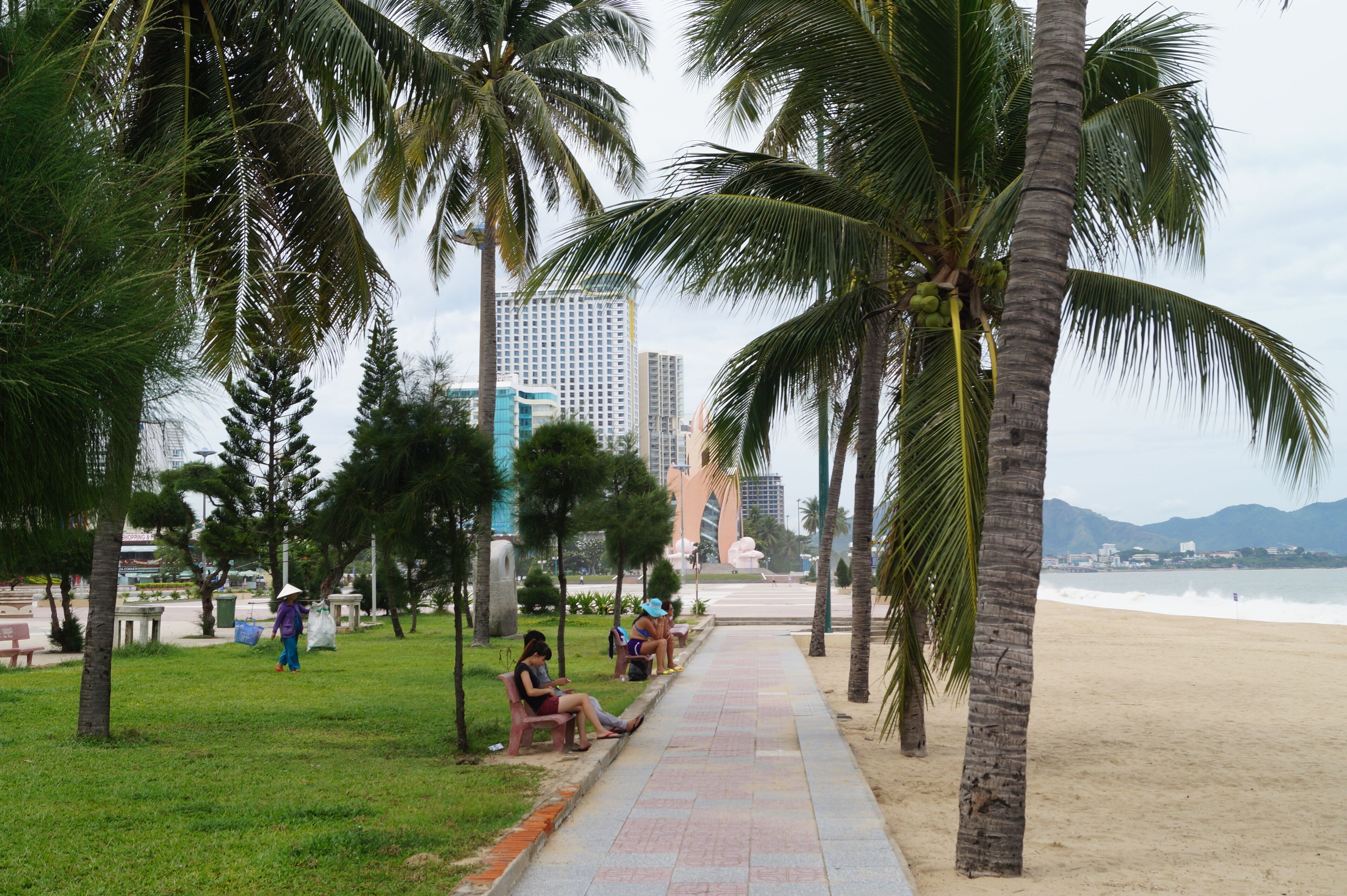 손바닥, 물가, 나무, 열대, sky, 네이처, 바다, 나무, 여름, 리조트, 여행, 손바닥, 모래, 길거리, 섬, 야자수, 경관, 대양, 목초, 공원, 휴가, 거리, 연안, h2o, 코코넛